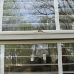 Slide of Written In Stone