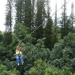 Comfort Travel - Ziplining is a fun experience for all ages.