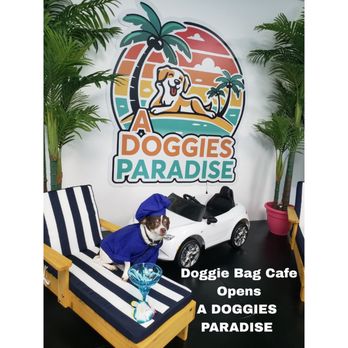 Doggie Bag Cafe - Dog Parks Near Me - Miami, Florida Doggie Bag Cafe - Dog Parks Near Me - Miami, Florida