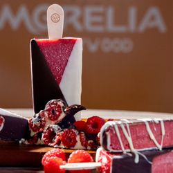 Morelia Ice Cream Paletas - Hollywood - The best ice cream experience