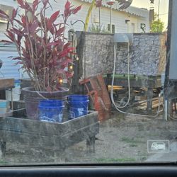 Colonia Del Rey RV Park