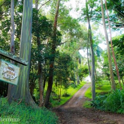 Hale Kua - Entrance to the main house & cottage