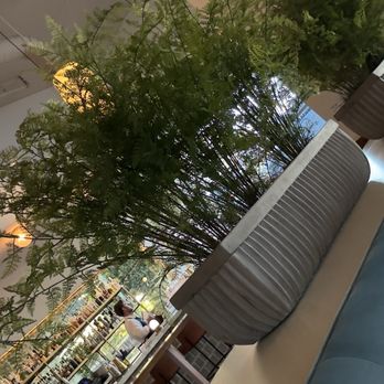 Luogo - Italian Near Me - Nashville, Tennessee
