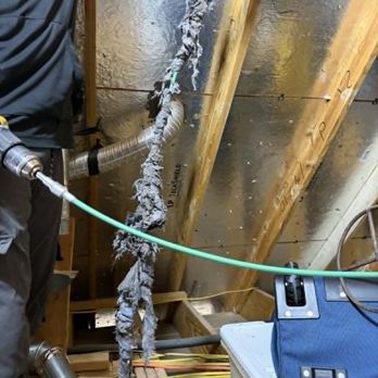 Dryer Vent Cleaning - Pet and long human hair form difficult dryer vent clogs. We have experienced technicians that can remove these! - Air Duct Cleaning Near Me - Dallas, Texas Dryer Vent Cleaning - Pet and long human hair form difficult dryer vent clogs. We have experienced technicians that can remove these! - Air Duct Cleaning Near Me - Dallas, Texas
