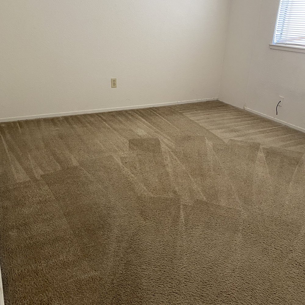 Pristine Cleaners - Carpet Cleaning Near Me