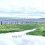 Photo of Camas Prairie Centennial Marsh