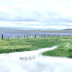 Camas Prairie Centennial Marsh