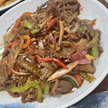 The Magic Noodle - Mongolian Beef with Rice - Chinese Near Me - Las Vegas, Nevada The Magic Noodle - Mongolian Beef with Rice - Chinese Near Me - Las Vegas, Nevada