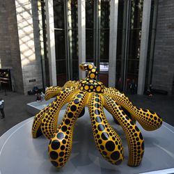 National Gallery of Victoria - Yayoi Kusama