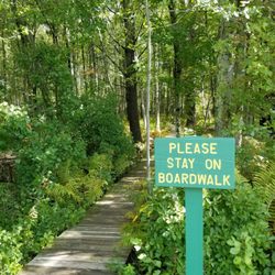 Coventry Greenway - In the Whipple conservation area, accessible from the greenway
