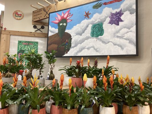 Trader Joe's by null