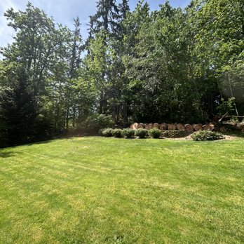 Nelson's Tree Service - Tree Services Near Me - Arlington, Washington Nelson's Tree Service - Tree Services Near Me - Arlington, Washington