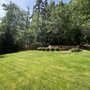 Photo of Nelson's Tree Service