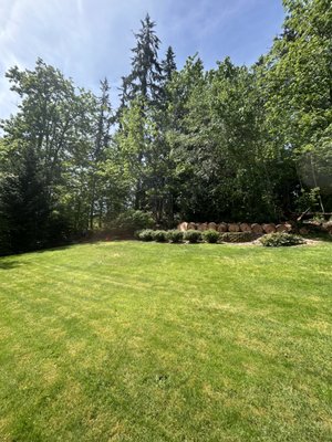 Nelson's Tree Service on Yelp