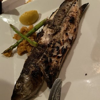 The Black Olive - Mediterranean Sea Bass - Seafood Near Me - Baltimore, Maryland