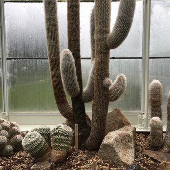 Volunteer Park Conservatory - Parks Near Me - Seattle, Washington