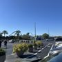Photo of Animal Ambassadors Tour at Seaworld Orlando