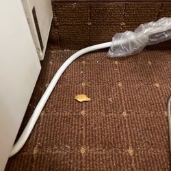 Knights Inn Bunkie - Food pieces in corner next to lamp