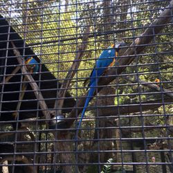 Shoalhaven Zoo