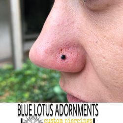Sacred Blue Lotus - Nose piercing