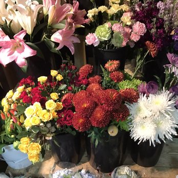 Wilton Manors Flowers - Gift Shops Near Me - Wilton Manors, Florida Wilton Manors Flowers - Gift Shops Near Me - Wilton Manors, Florida