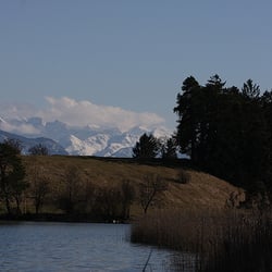 Fohnseestüberl