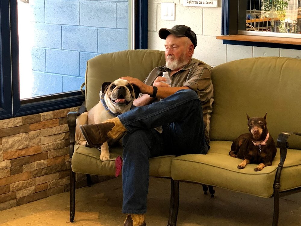 BNB PET RETREAT 13 Photos & 19 Reviews 210211 E SR 397, Kennewick