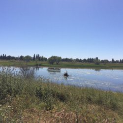 Guttridge Park