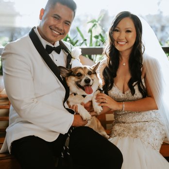 Esselle Weddings & Events - Our pup Buster - Wedding Planning Near Me Esselle Weddings & Events - Our pup Buster - Wedding Planning Near Me