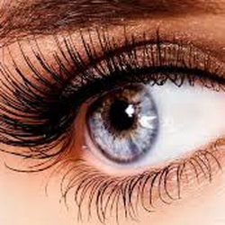 Kate Beauty - Diamond Silk lashes are for €45 Cashmere lashes are for €60