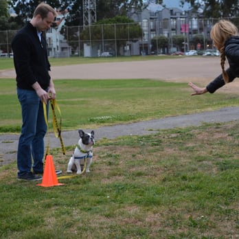 The Grateful Dog - Training Class - Pet Training Near Me - San Francisco, California The Grateful Dog - Training Class - Pet Training Near Me - San Francisco, California