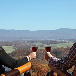 Absolute Perfect Escape - Our View
