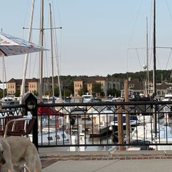 View of marina from our table
