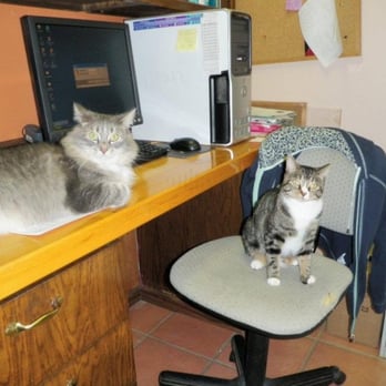 Pet Station - Veterinarians Near Me - Union, Missouri Pet Station - Veterinarians Near Me - Union, Missouri