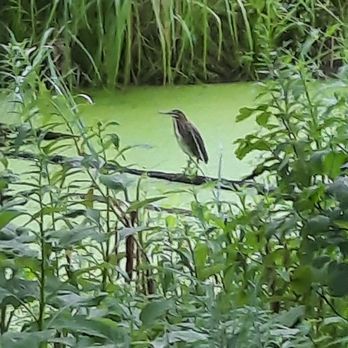 ANITA B GORMAN DISCOVERY CENTER - Updated August 2025 - 149 Photos & 16