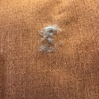 Alert Cleaning Services - Cat hair left AFTER cleaning - Home Cleaning Near Me Alert Cleaning Services - Cat hair left AFTER cleaning - Home Cleaning Near Me