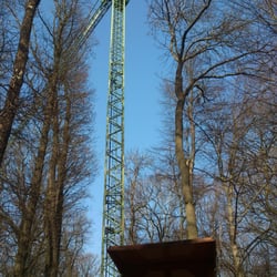 Fahrradtour im Auenwald