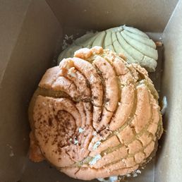 Pumpkin cream cheese concha and vanilla concha Pumpkin cream cheese concha and vanilla concha