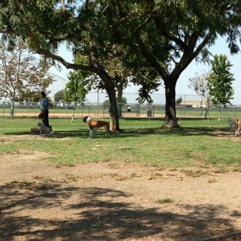 Arbor Dog Park - Big trees for shade. - Dog Parks Near Me - Los Alamitos, California Arbor Dog Park - Big trees for shade. - Dog Parks Near Me - Los Alamitos, California