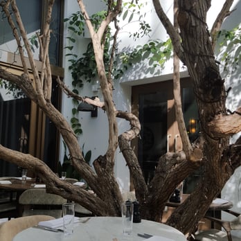 Cecconi's Miami Beach - Italian Near Me - Miami Beach, Florida