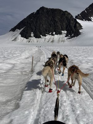 Alaska Helicopter Tours by null