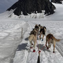 Alaska Helicopter Tours - Hup hup!