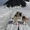Alaska Helicopter Tours gift card
