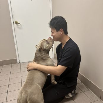All Pets Medical Centre - Giving kisses lol - Veterinarians Near Me - West Hills, California All Pets Medical Centre - Giving kisses lol - Veterinarians Near Me - West Hills, California