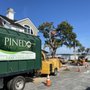 Photo of Pinedo Tree Service