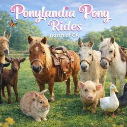 Ponylandia Pony Rides