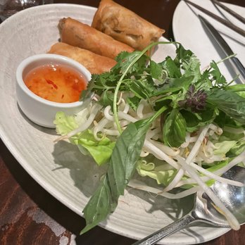 Wild Ginger - Thai Spring Rolls Dinner Plate - Wine Bars Near Me - Bellevue, Washington Wild Ginger - Thai Spring Rolls Dinner Plate - Wine Bars Near Me - Bellevue, Washington