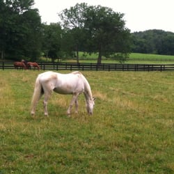 Great space for riding lessons!