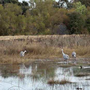 Cosumnes River Preserve - Parks Near Me - Galt, California