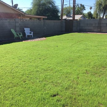 SVH Landscaping Services - Tree Services Near Me